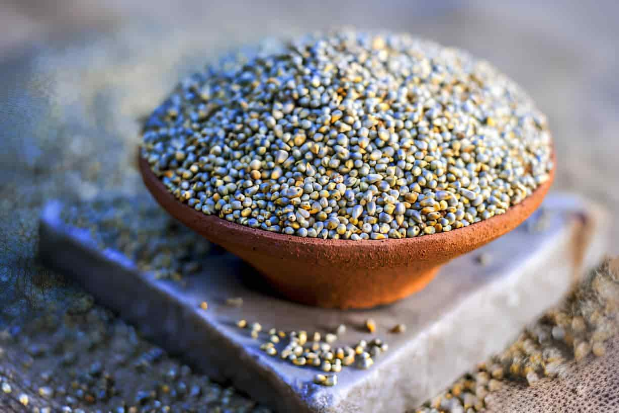 Pearl Millet Supplier & Exporter from India – Buy Bulk Millets Wholesale